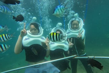 Snorkeling and Sea Trekking Adventure at Cham Island, Da Nang