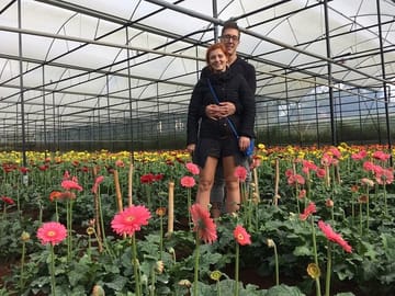 Da Lat : Explore Elephant Falls,Silk Village and Countryside