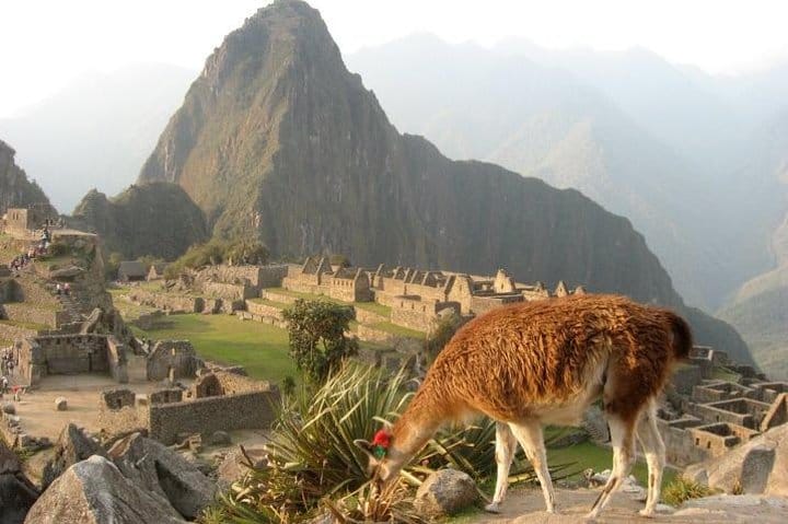 7-Day Lima and Cusco Tour with Overnight at Machu Picchu