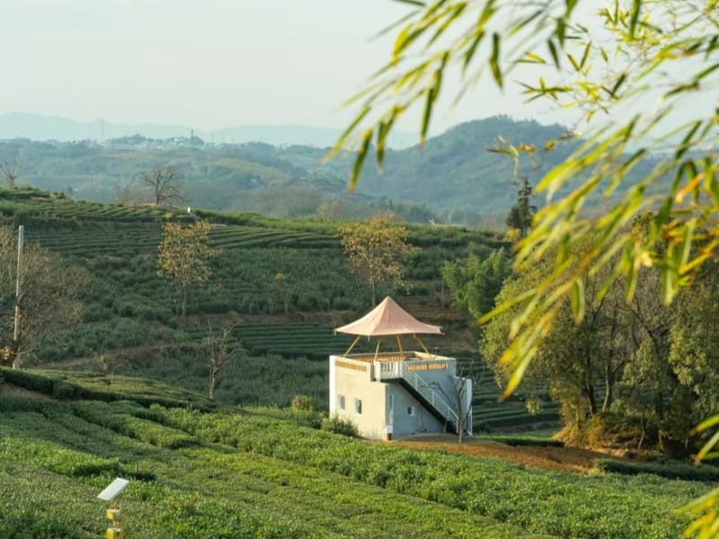 Shanghai: Dashipu Waterfall & Tea Garden Rocks Day Trip