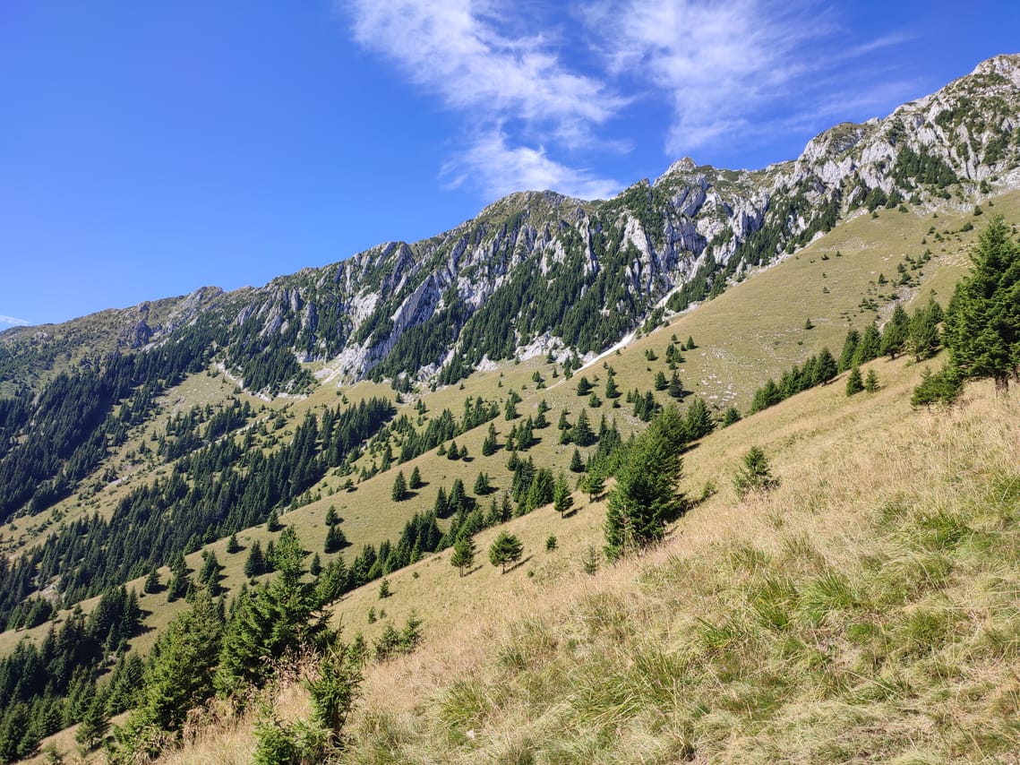 1 day hike to Piatra Craiului's highest peak (2238 m) 7