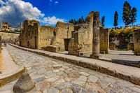 Guided Tour of Pompeii and Herculaneum with Lunch and Ticket  8
