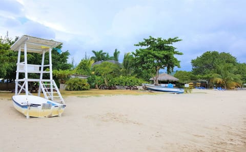 Customized Horseback Riding and River Rapids in Braco, Jamaica