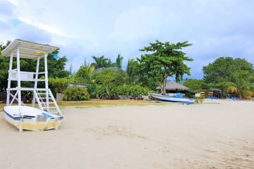 Customized Horseback Riding and River Rapids in Braco, Jamaica