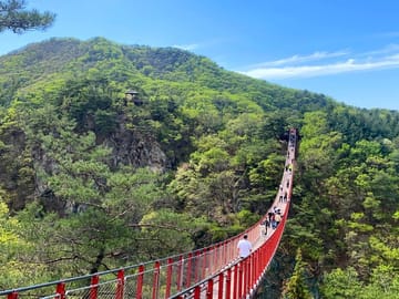 DMZ Day Tour from Seoul: 3rd Tunnel and Defector Meeting