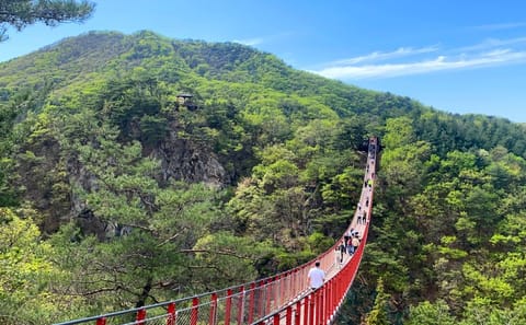 DMZ Day Tour from Seoul: 3rd Tunnel and Defector Meeting