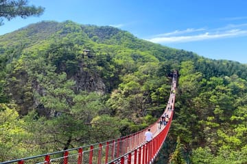 DMZ Day Tour from Seoul: 3rd Tunnel and Defector Meeting
