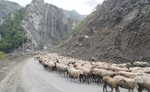 Two-Day Private Cultural Tour of Shamakhi, Lahij, and Sheki