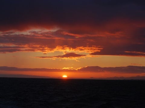 Reykjavík Premium Whales in the Midnight Sun, photo 8