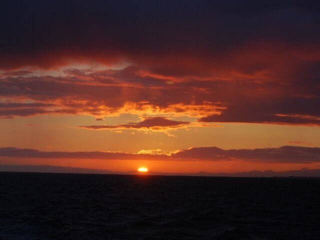 Reykjavík Premium Whales in the Midnight Sun 7