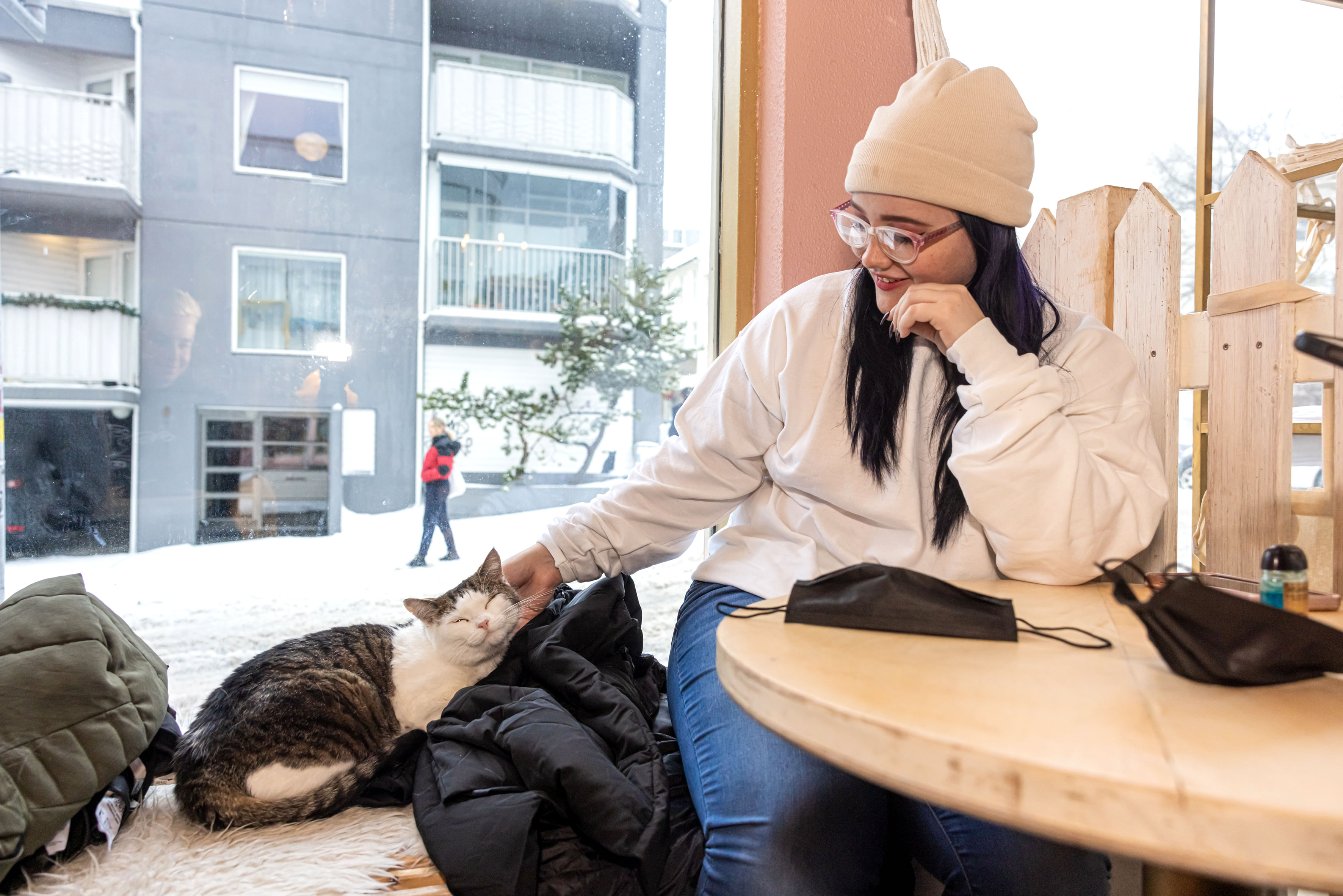 A traveller petting a cat inside the cat-cafe