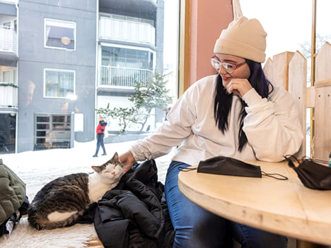 A traveller petting a cat inside the cat-cafe
