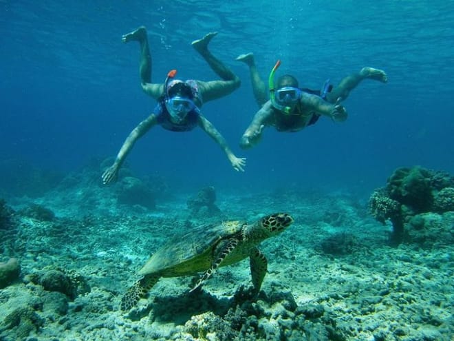 Snorkeling Day Trip & Island Tour to Nusa Lembongan & Penida photo 2