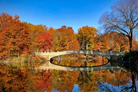 NY: Unforgettable Walking Tour Through NYC’s Icons