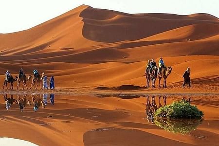 Private Marrakech to Sahara Tour: Camel Ride & Ait Ben Haddou Experience