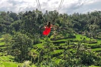 Ubud: Monkey Forest, Jungle Swing, Rice Terrace and Water Temple 8
