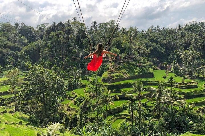 Ubud: Monkey Forest, Jungle Swing, Rice Terrace and Water Temple 8