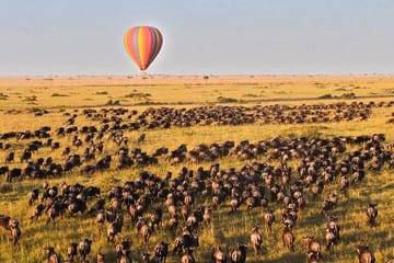 2 Days Private Safari To Maasai Mara National Reserve