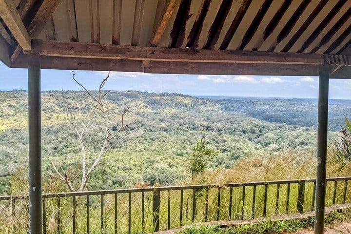 Shimba Hills National Reserve Day Tour with Sheldrick Falls