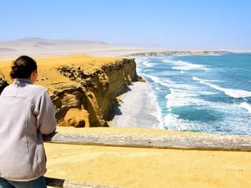 Ballestas Islands and Paracas National Reserve Day Trip from Paracas