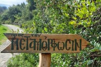 Half-Day Private Walking Tour along the Orthodox Gorge 3