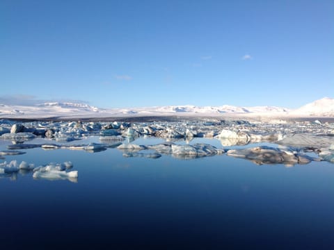 South Coast & Glacier Lagoon, photo 2