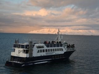 New Years Fireworks by Boat from Reykjavik, photo 11