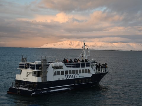 New Years Fireworks by Boat from Reykjavik, photo 11
