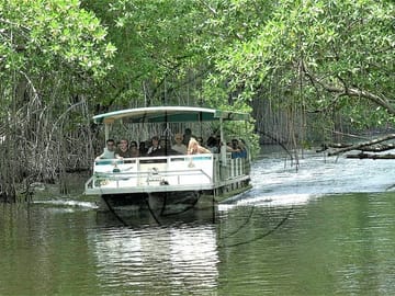 Black River Safari Tour