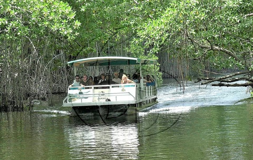 YS Falls and Black River Safari Tour with Lunch from Falmouth
