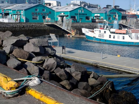 Reykjavik City Sightseeing, photo 4
