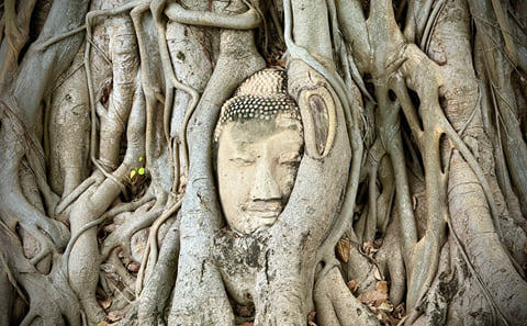 Bangkok MBK – SIAMSCAPE: Ayutthaya UNESCO Experience with Boat Ride and Tickets (Tour ends at MBK Shopping Mall)
