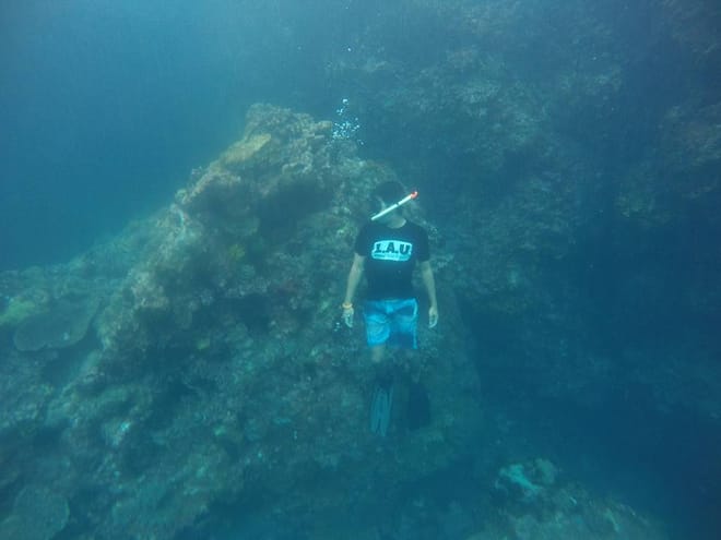 East Bali: Fishing Tour Spear or Line at Virgin Beach photo 4