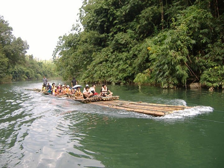 PHUKET-PHANG NGA: Bamboo Rafting, Elephant Bathing + Riding, Sea Turtle and activities choice 4
