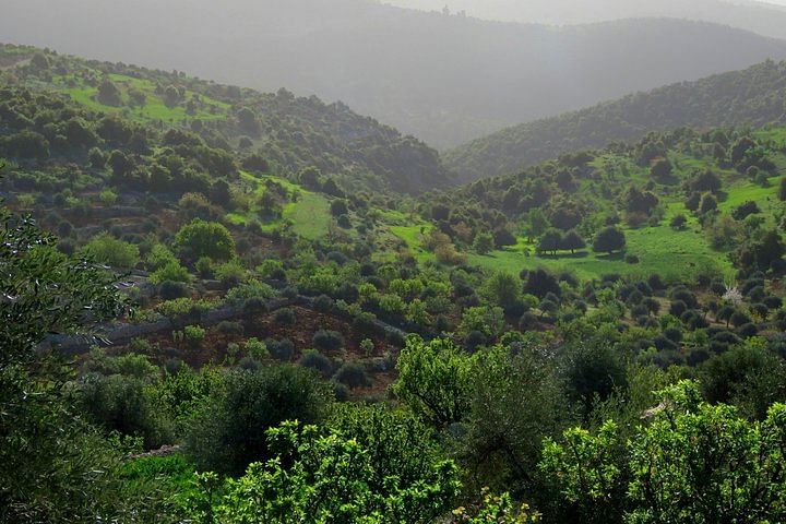 Private Ajloun Tour from Amman: Castle, Nature Reserve & Hiking Options