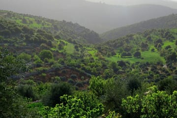Private Day Tour to Ajloun Castle and Nature Reserve from Amman