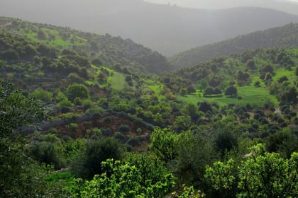 Private Tour to Ajloun from Amman with Optional Hiking Experience