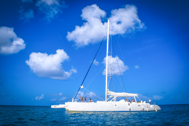 Saona Island - Full Day Excursion! 9
