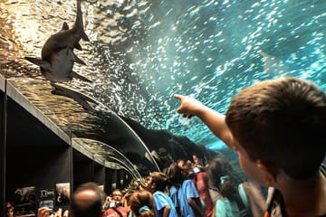 Cretaquarium Tour From Heraklion- pick up from Kokkini Hani to Malia