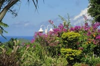 St Lucia Northern Island Tour 4