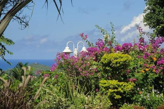 St Lucia Northern Island Tour photo 4