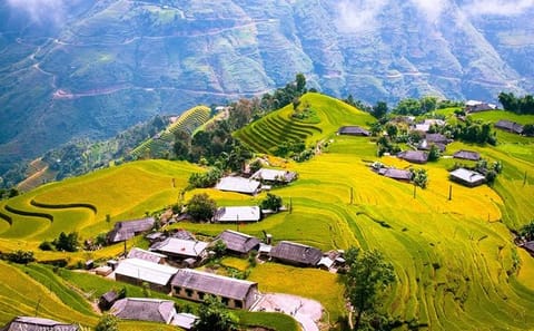 14-Day Trekking Adventure in Hà Giang and Hanoi