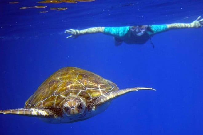 Kayaking, Snorkeling & Swimming  7