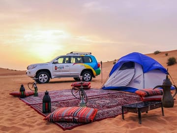 Overnight Safari