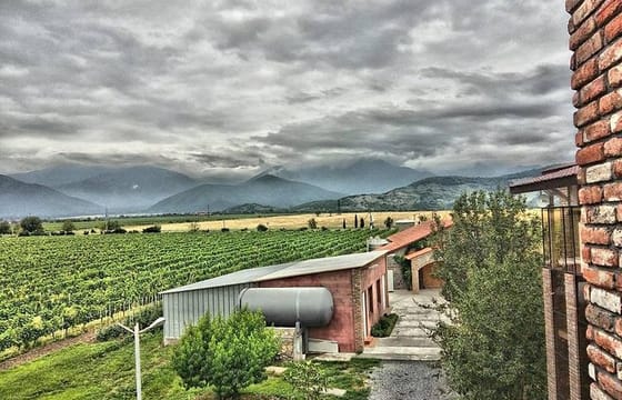 Kakheti-Wine Region Full-Day Superior Private Guided Tour & Organic Wine Tasting