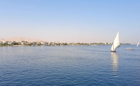Dendera Temple and Abydos Day Trip from Safaga
