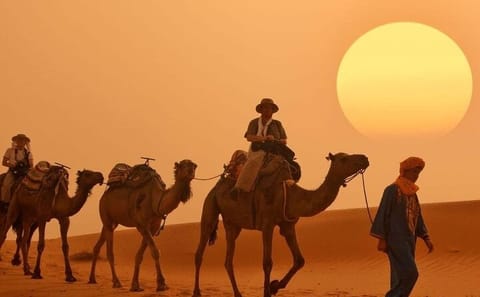 3 Days Desert Trips : Agadir to Merzouga to Marrakesh