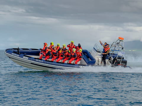 Whales, Puffins & Reykjavík, photo 4