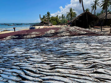 Kilindoni market, Mafia Island