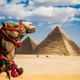 Camel & Pyramids